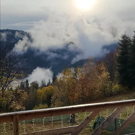 Lupul Din Apuseni Matisesti