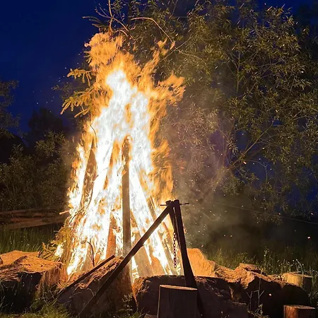 Lupul Din Apuseni Matisesti